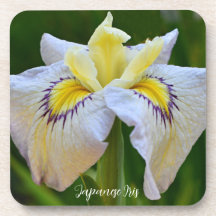Floral de iris blanco y amarillo japonés