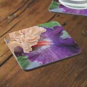 Posavasos Floral de iris con barba de dos tonos