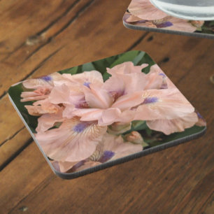 Posavasos Floral de iris con barba rosa Rubor
