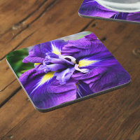 Floral de iris nipona morada