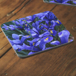 Posavasos Floral de irisis reticuladas púrpura