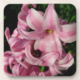 Posavasos Floral de primavera de Hyacint rosado