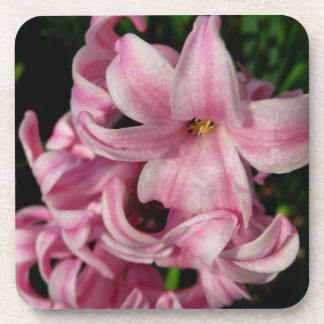 Posavasos Floral de primavera de Hyacint rosado
