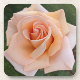 Posavasos Floral de Rosa Naranja Delicada