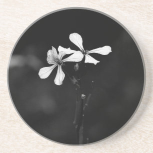 Posavasos floral en blanco y negro minimalista