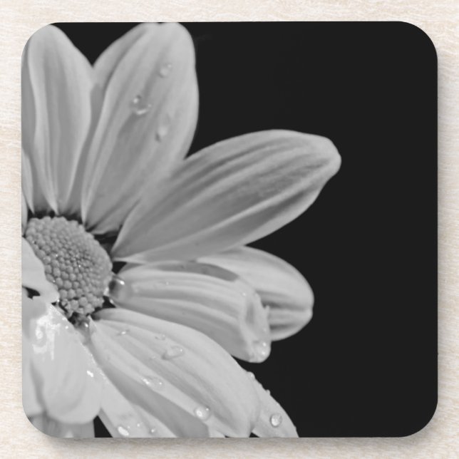 Posavasos Floral pacífico (Frente)