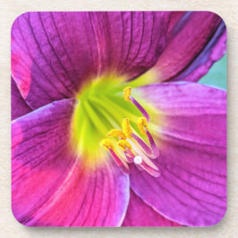 Posavasos Floral Pink Daylily Bloom