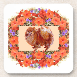Posavasos Floral Pomerania