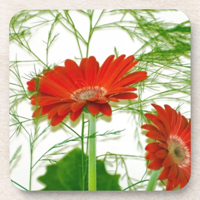 Posavasos Floral rojo (Frente)