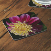 Floral rosa Anemone Dahlia Bloom