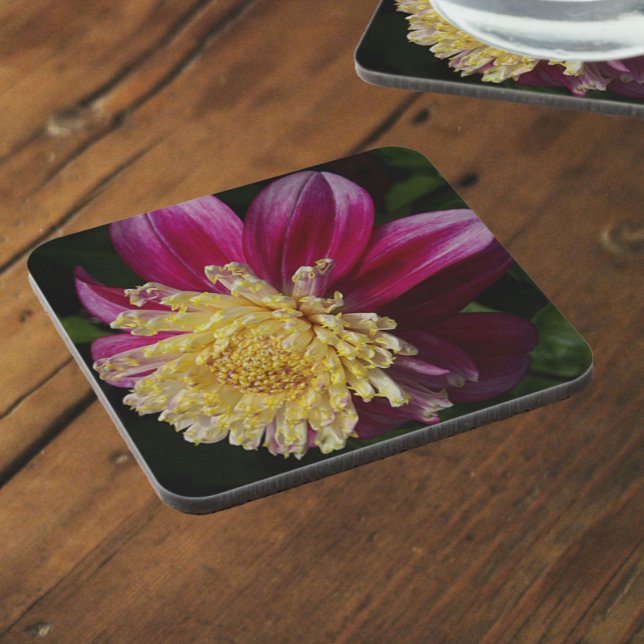 Posavasos Floral rosa Anemone Dahlia Bloom (In Situ)