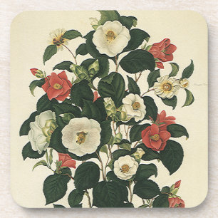 Posavasos Floral Vintage, Flores de Rosas de Jardín Antiguas