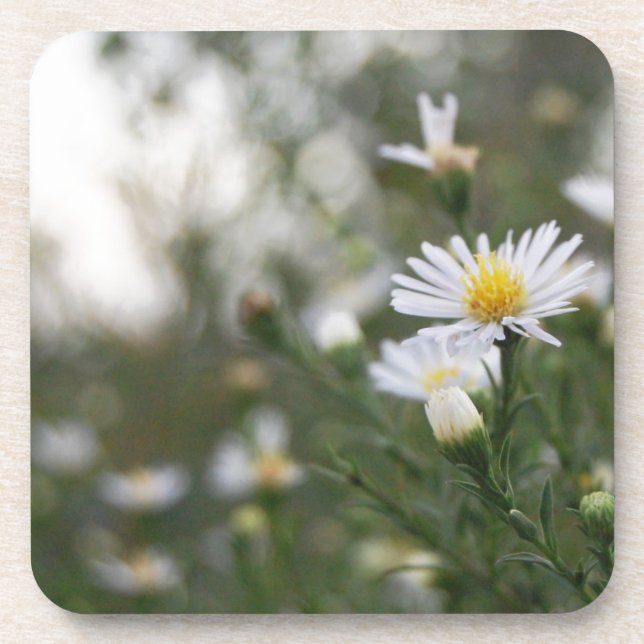 Posavasos Flores (Frente)