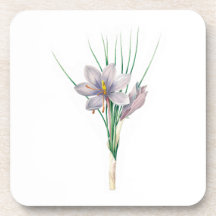 Flores: A007 Autumn Crocus -