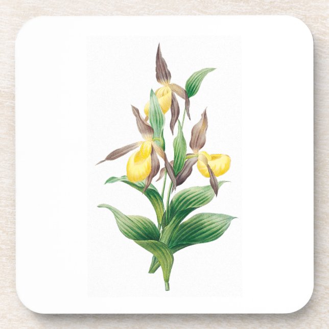 Posavasos Flores: A011 Yellow Lady Slipper - (Frente)