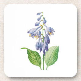 Posavasos Flores: A012 diariamente -