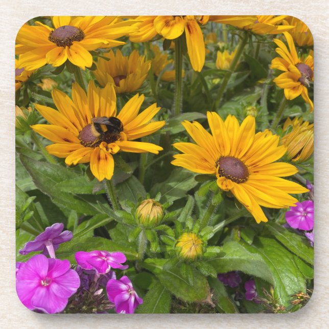 Posavasos Flores amarillas de Rudbeckia Phlox rosa y abeja (Frente)