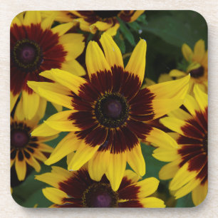 Posavasos Flores amarillas marrones conjunto de 6 castradora