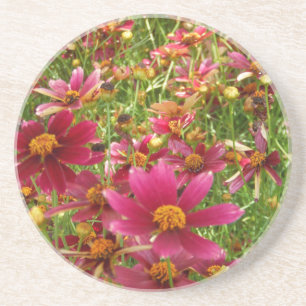 Posavasos Flores brillantes de rosado caliente y margarita a