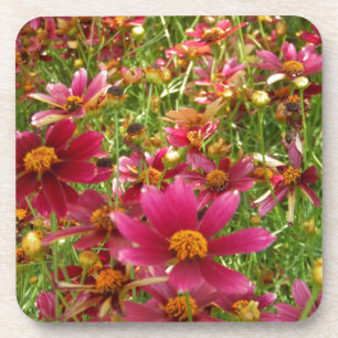 Posavasos Flores brillantes de rosado caliente y margarita a