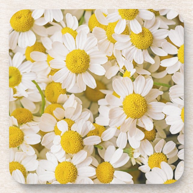 Posavasos Flores | Bunch of Chamomiles (Frente)