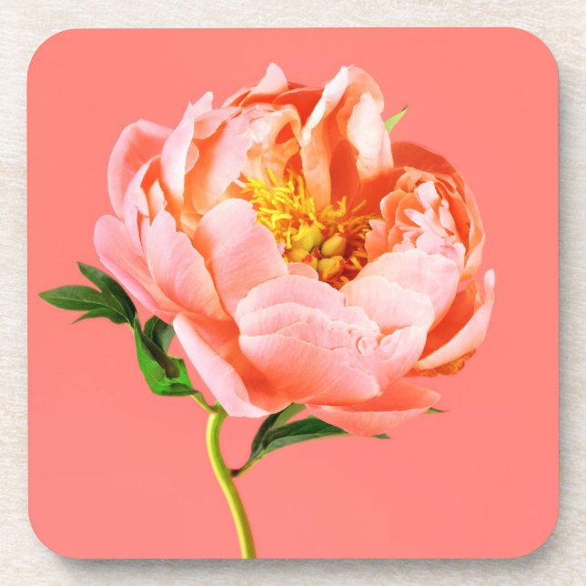 Posavasos Flores | Coral Peony Blossom (Frente)