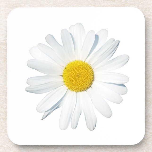 Posavasos Flores | Daisy único (Frente)