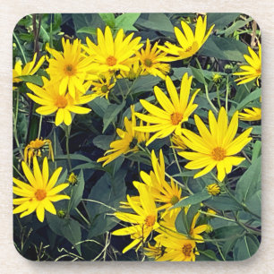Posavasos Flores de Aguaturma
