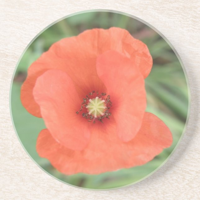 Posavasos Flores de amapola silvestres (Frente)