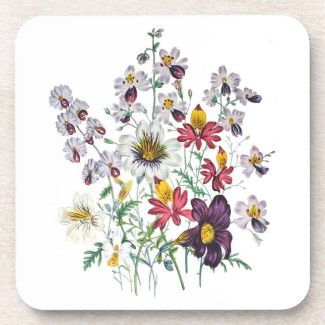 Posavasos Flores de araña y de terciopelo (Frente)