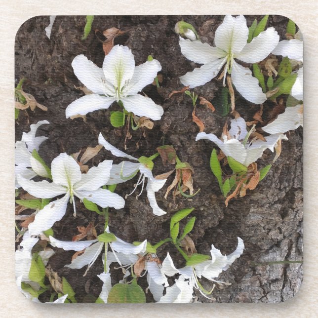 Posavasos Flores de árbol (Frente)