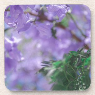 Posavasos Flores de árbol de jacarandá morado