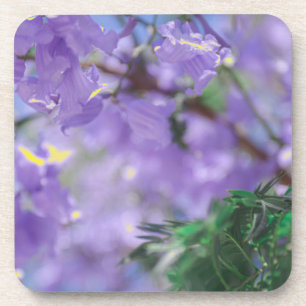 Posavasos Flores de árbol de jacarandá morado