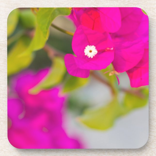 Posavasos flores de buganvilla (Frente)
