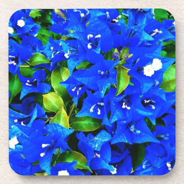 Posavasos Flores de buganvillas azules vibrantes (Frente)