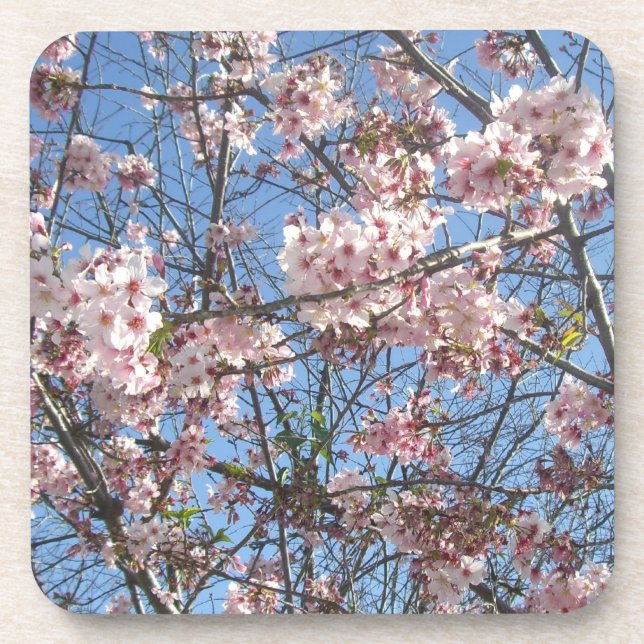 Posavasos Flores de cerezo (Frente)