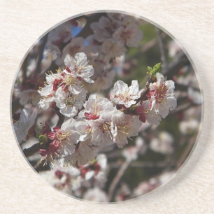 Posavasos Flores de cerezo