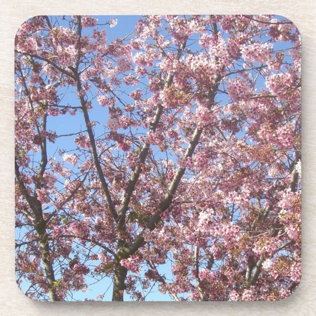 Posavasos Flores de cerezo (Frente)