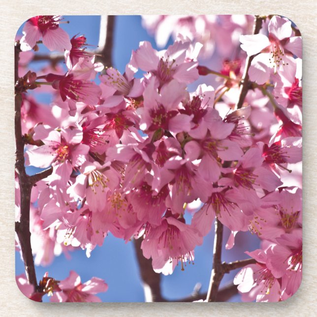 Posavasos Flores de Cerezo Sakura Estrellas Rojas (Frente)