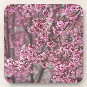 Posavasos Flores de cerezo Sakura rosadas flotando