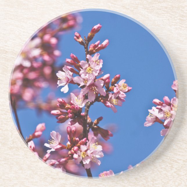 Posavasos Flores de cerezo sakura tocan el azul (Frente)