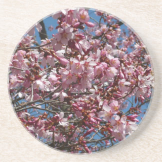 Posavasos Flores de cerezo y flor de Blue Sky Spring