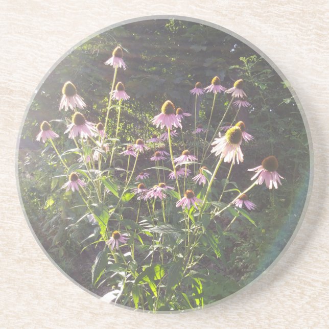 Posavasos Flores de Echinacea al Sol (Frente)