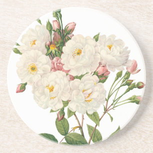 Posavasos Flores de época Flor Floral Rubor Noisette Rosa Re