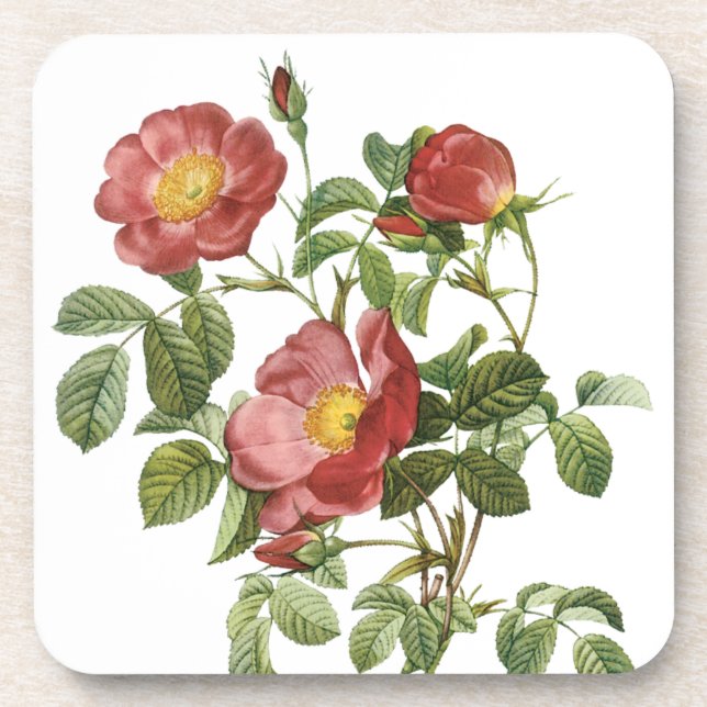 Posavasos Flores de época rosa de amor rojo floral de Redout (Frente)