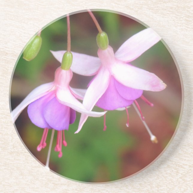 Posavasos Flores de Fuschia (Frente)