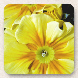 Posavasos Flores de hibiscos amarillos