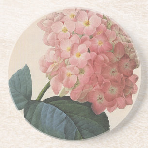 Posavasos Flores de huertos de vintage, hidrangea rosada Hor