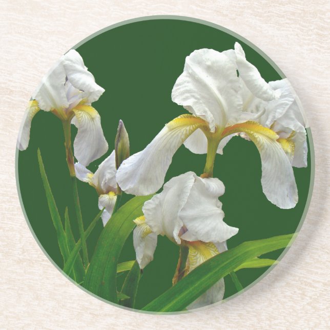Posavasos Flores de iris con barba blanca (Frente)
