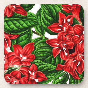 Posavasos Flores de jengibre rojo, impresión vintage